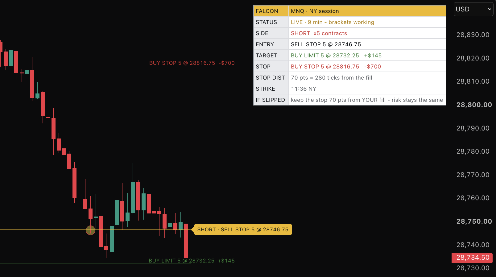 Falcon live strike on the MNQ chart — circled entry candle, brackets working